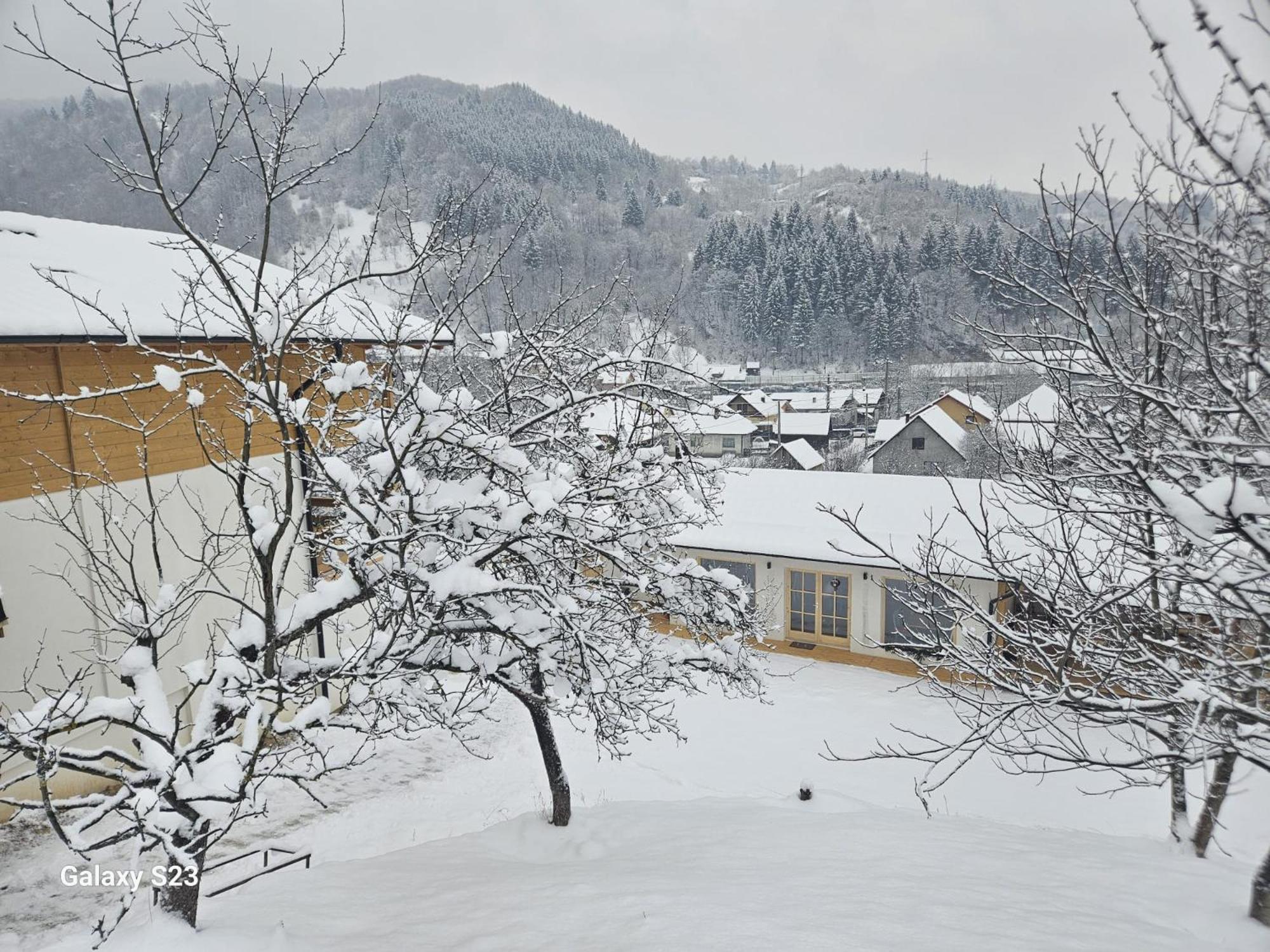 Hotel Casa Mara Vişeu de Sus Exteriér fotografie