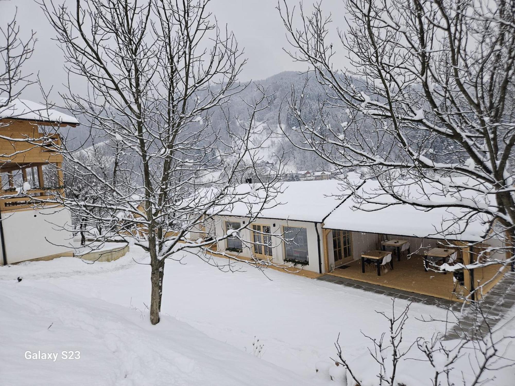 Hotel Casa Mara Vişeu de Sus Exteriér fotografie