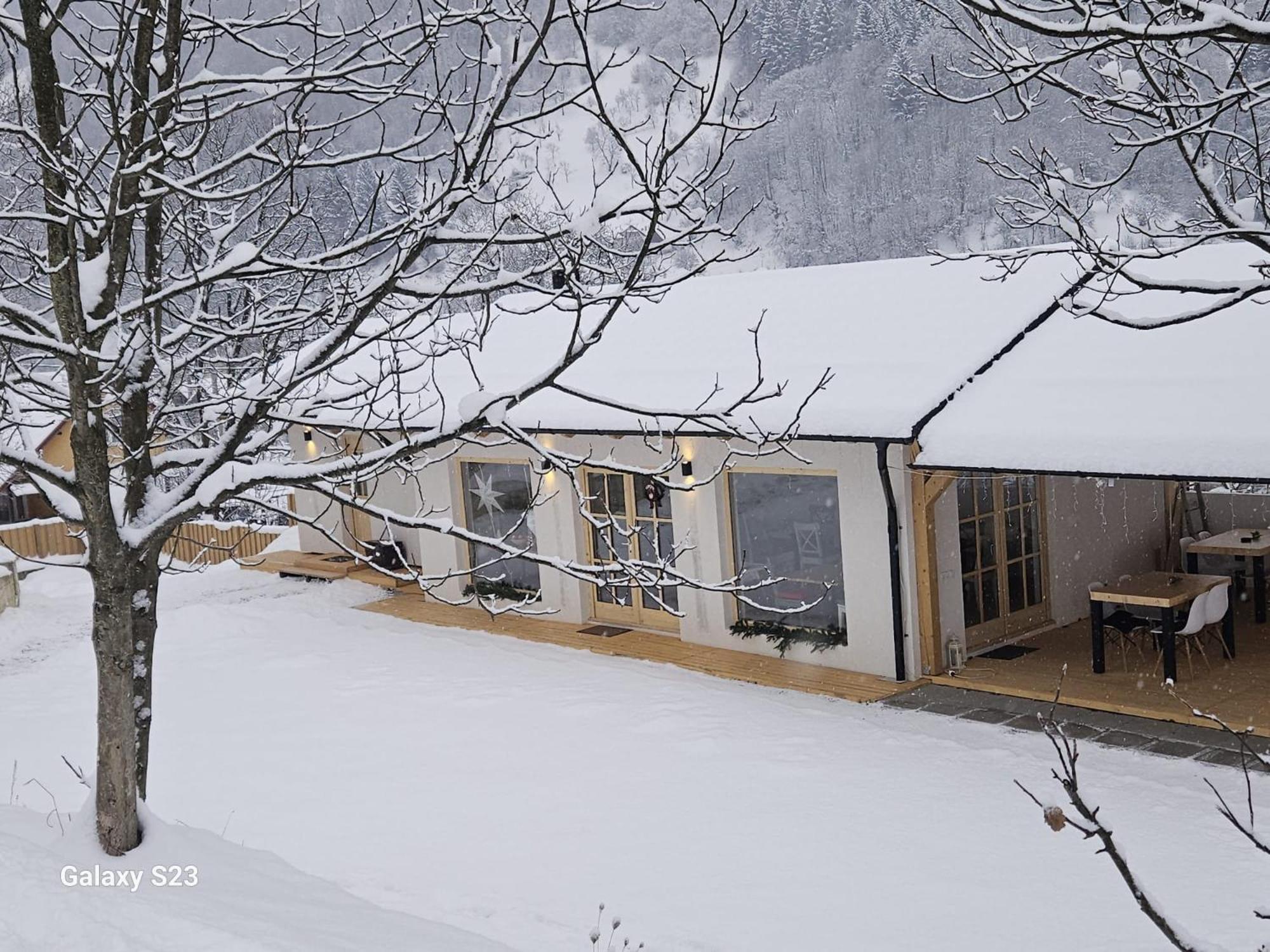 Hotel Casa Mara Vişeu de Sus Exteriér fotografie