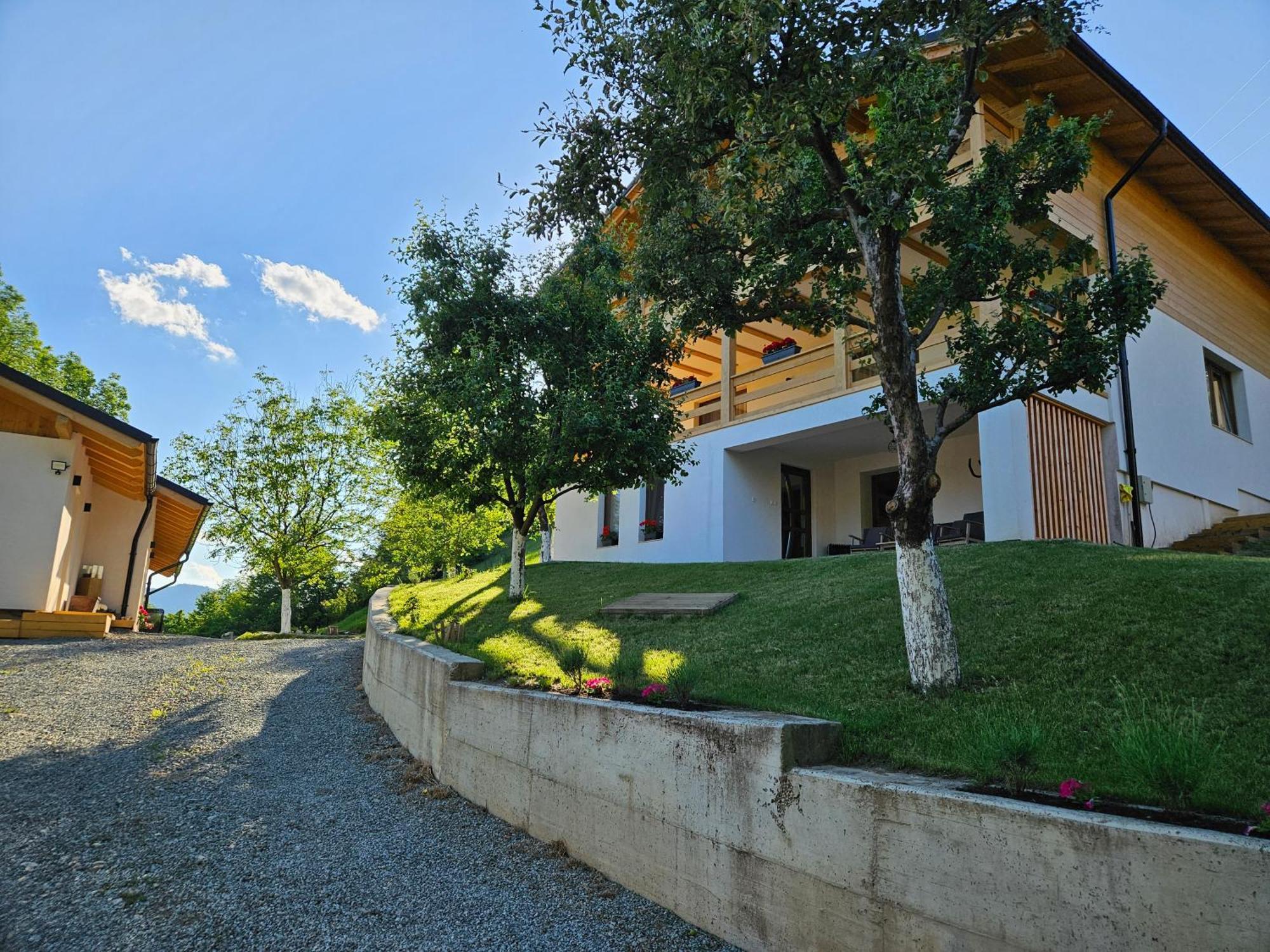 Hotel Casa Mara Vişeu de Sus Exteriér fotografie